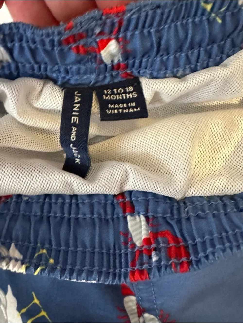 Janie And Jack Swimsuit Swim Trunks Swimming Size 12-18 Months